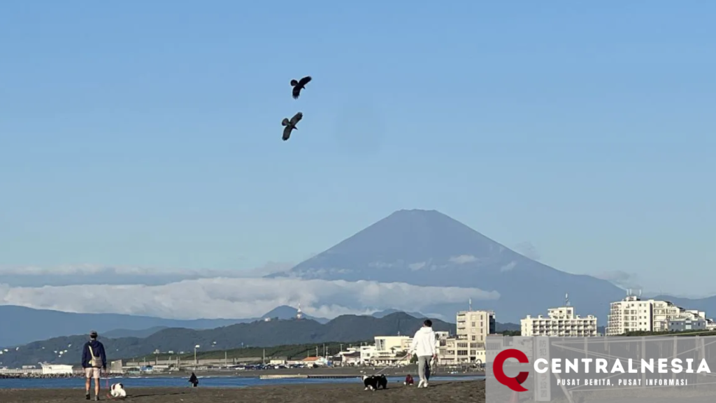 Gunung Fuji Mengalami Fenomena Tak Biasa, Masih Bebas Salju di Awal November