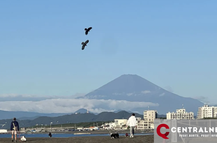 Gunung Fuji Mengalami Fenomena Tak Biasa, Masih Bebas Salju di Awal November